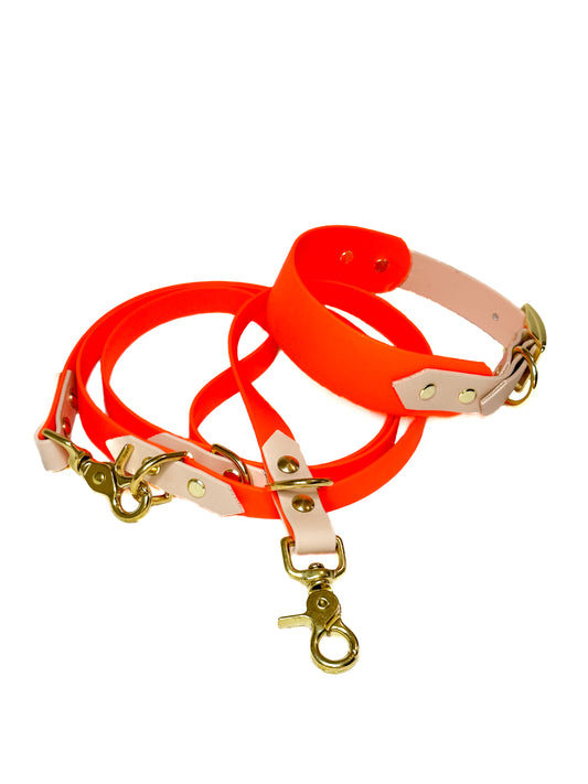 Two colored collar and leash set Biothane